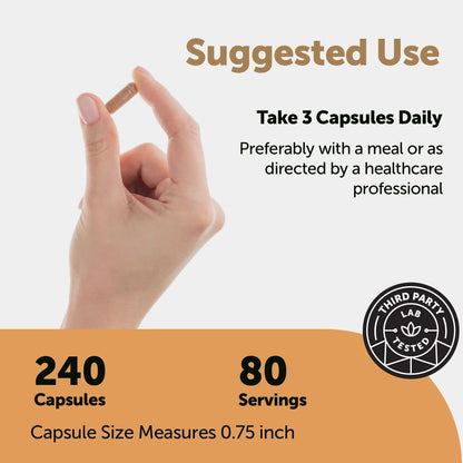 Nattokinase 10,000FU Complex, 240 Vegetarian Capsules